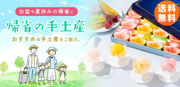 [送料無料]帰省の手土産