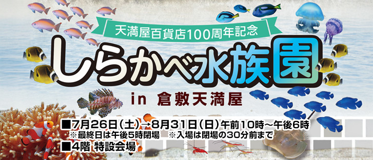 しらかべ水族園 in 倉敷天満屋