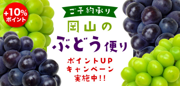ポイントUPキャンペーン[+10％ポイント]　岡山のぶどう便り