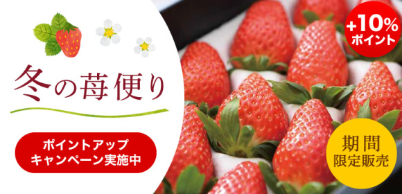 [+10％ポイント]ポイントUPキャンペーン実施中　冬の苺便り