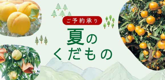 【ご予約承り】夏のくだもの
