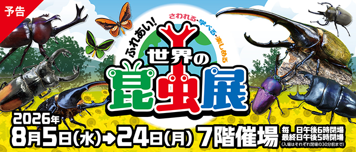 【予告】世界の昆虫展