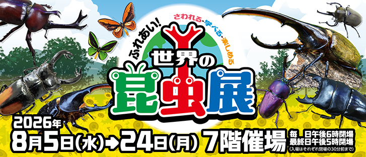 世界の昆虫展