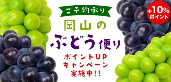 [ポイントUPキャンペーン実施中]岡山のぶどう便り
