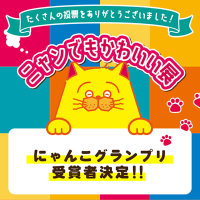 【ニャンでもかわいい展】にゃんこグランプリ受賞者決定！！