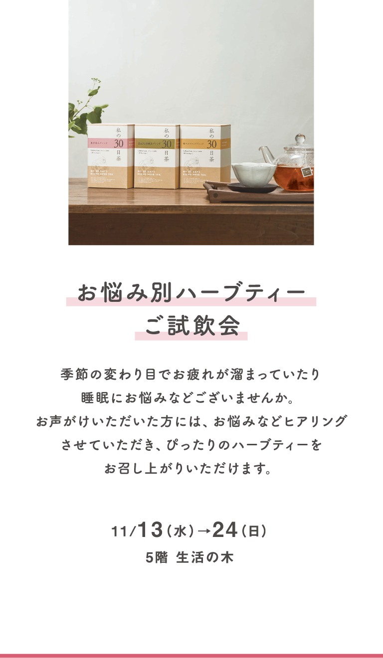 11/13（水）→24（日）、1階 生活の木