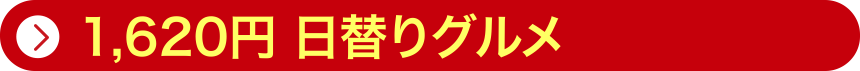 1620円日替わりグルメ
