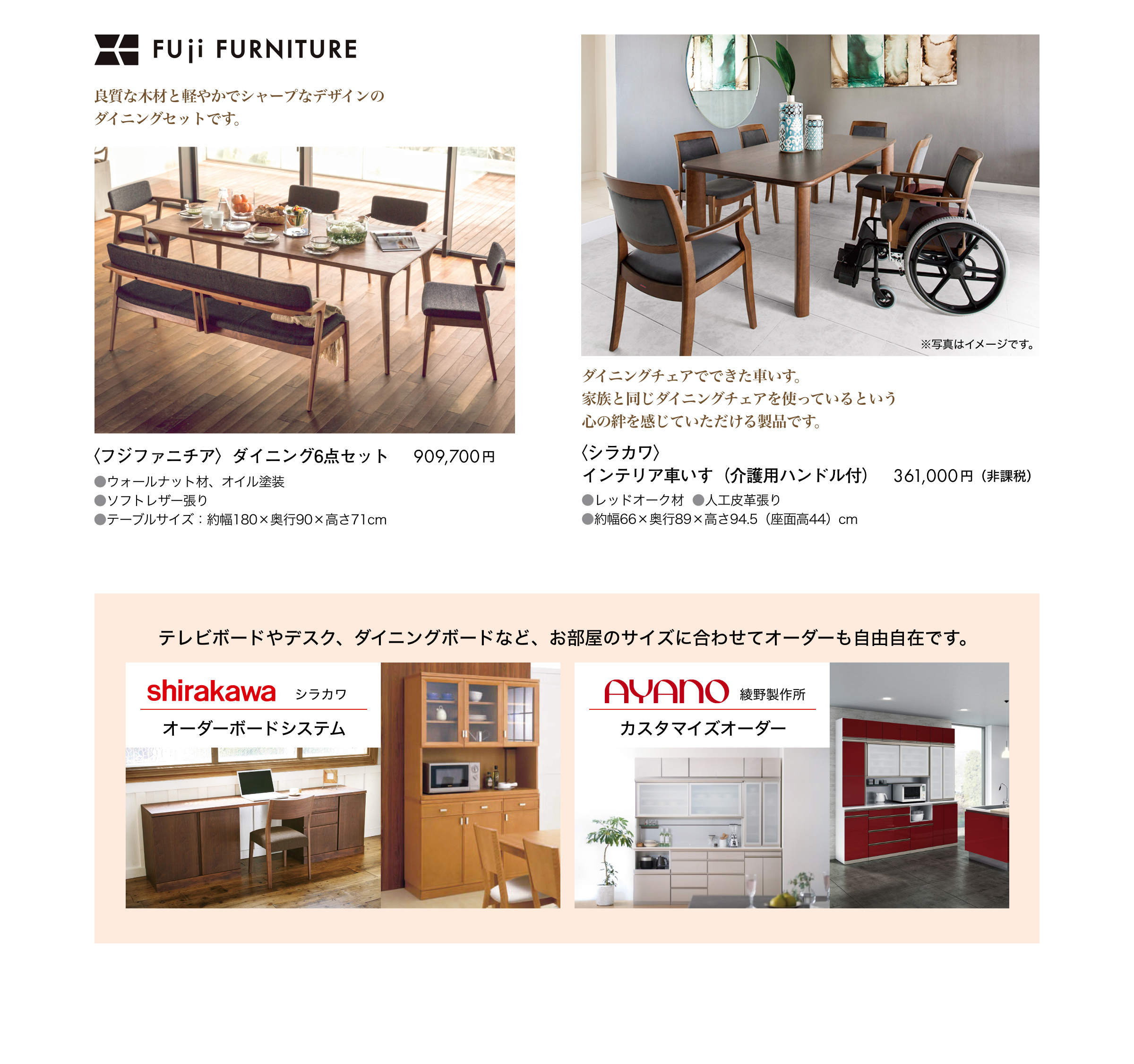 フジファニチア、シラカワ
