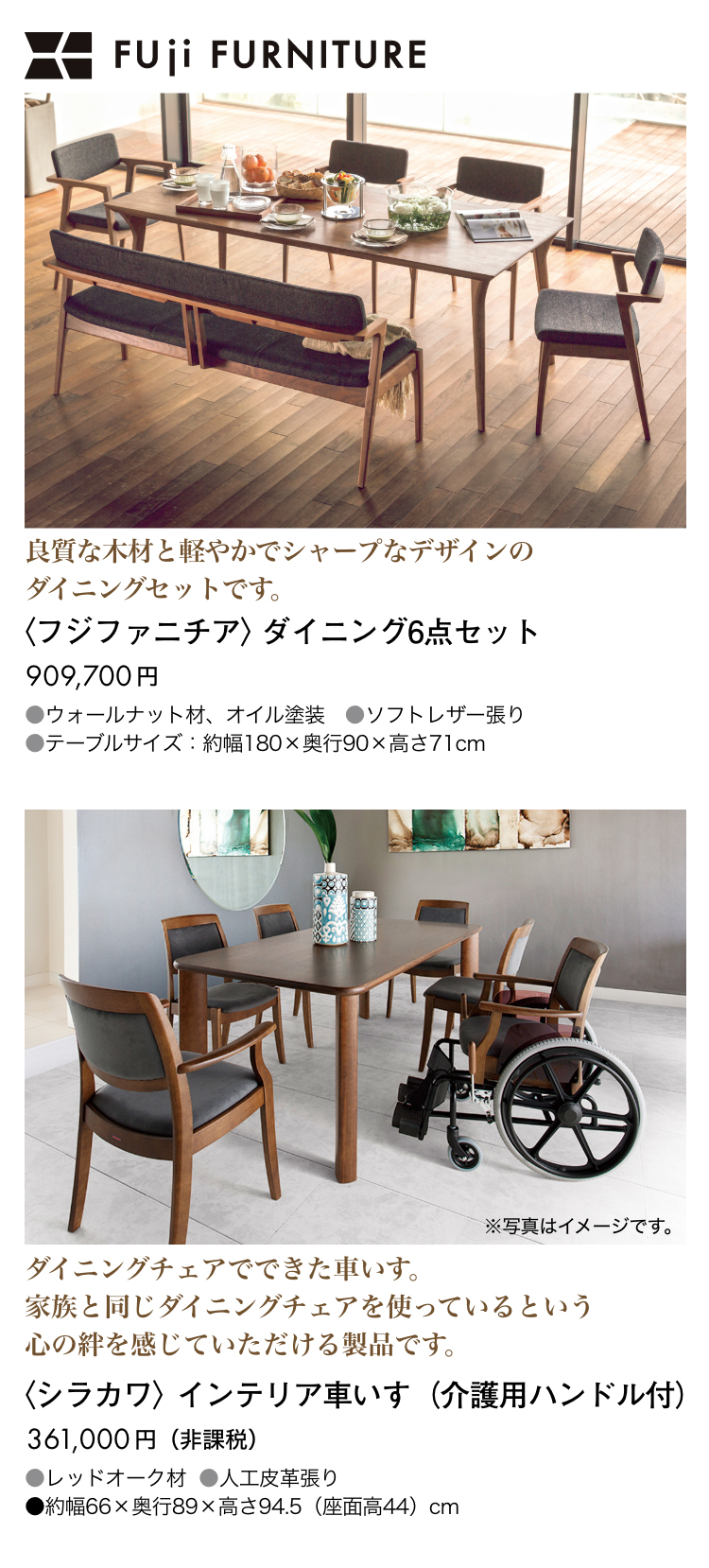 フジファニチア、シラカワ
