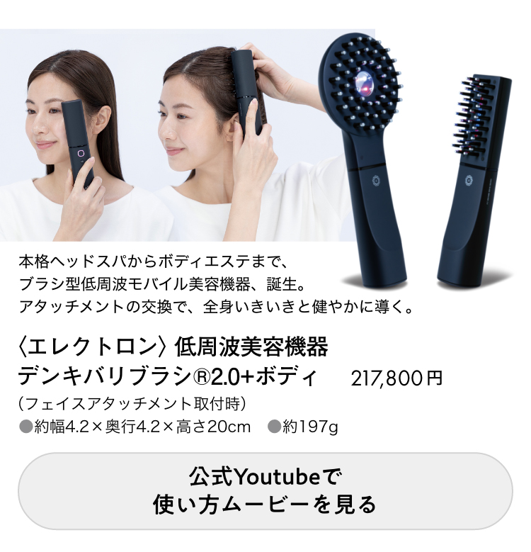 デンキバリブラシ