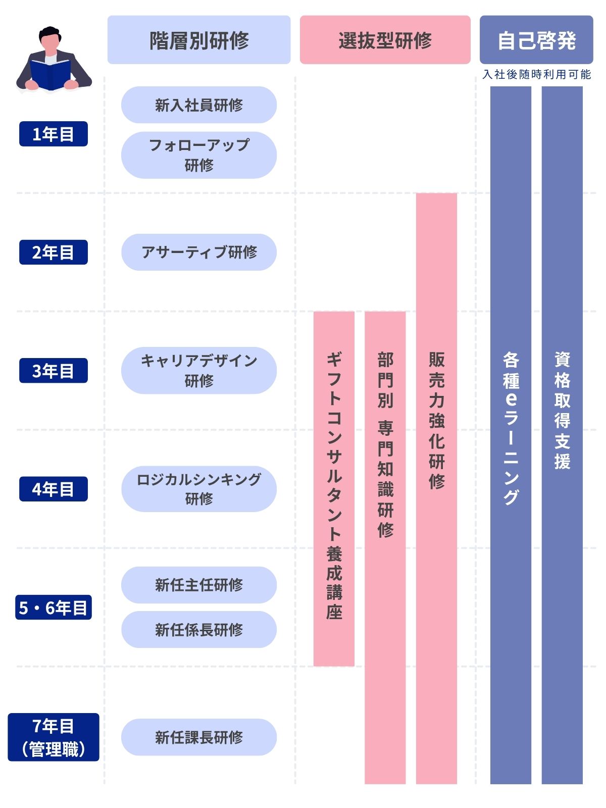 教育体系図